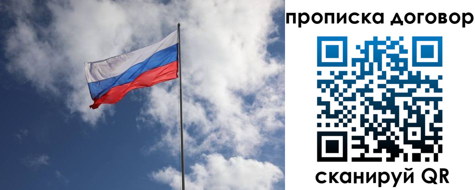 прописка поиск в Светлогорске